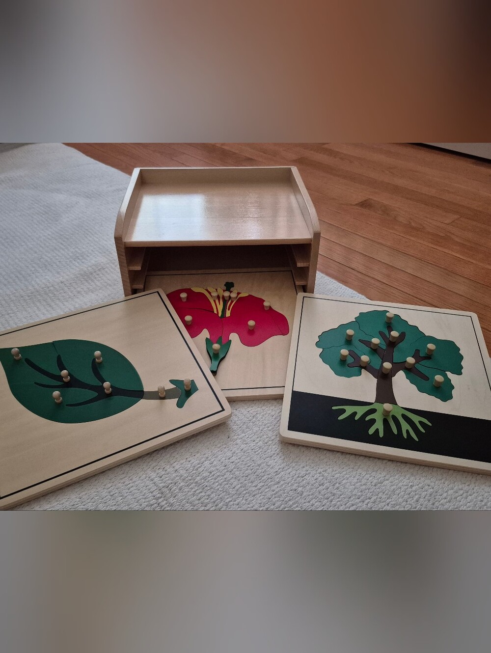 Adena Montessori Beechwood Botany Puzzle